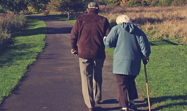 Estate Planning, Wills, and "Living Wills"