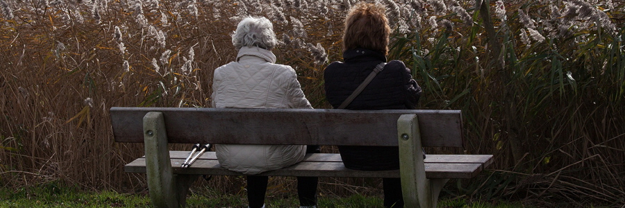 Probate Law